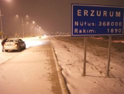 Erzurum buzul kente döndü
